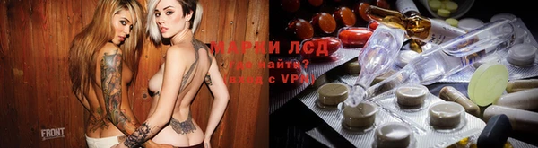 сатива Верея