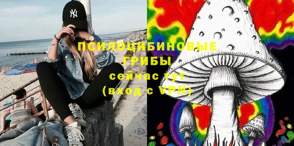 сатива Верея