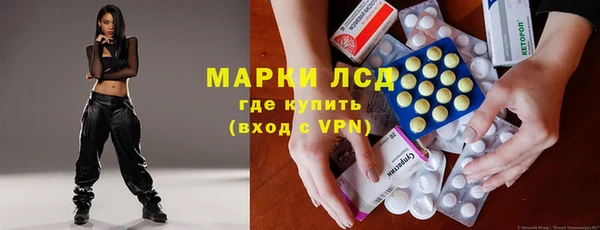 сатива Верея