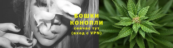 сатива Верея