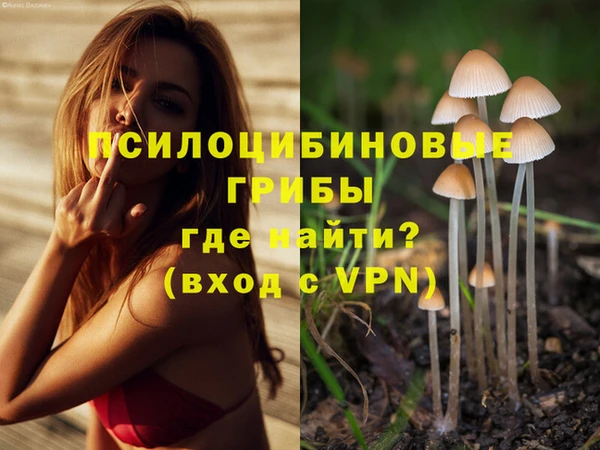 сатива Верея