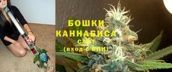 сатива Верея