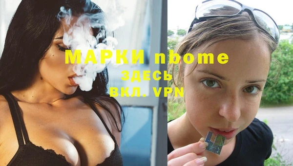 сатива Верея
