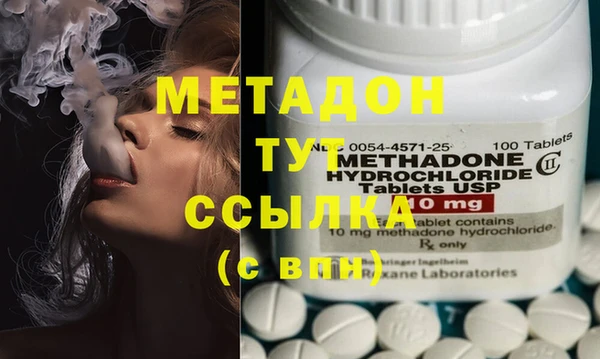сатива Верея