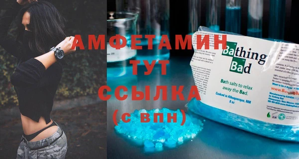 сатива Верея