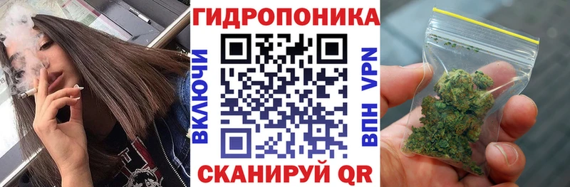 где купить   Балаково  Конопля тримм 